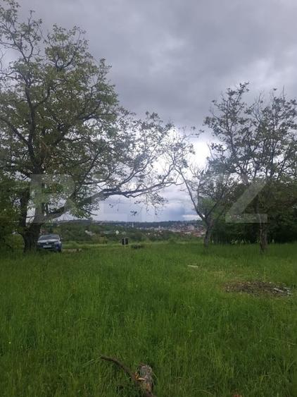 Teren agricol intravilan de 2691 mp, în Vest