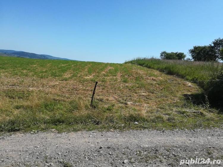 Teren de 3500 mp, în Vechea