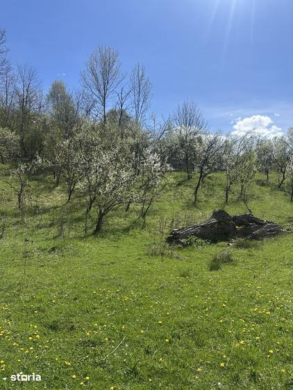 Spațiu comercial, de 2,035 mp, în Provița de Jos