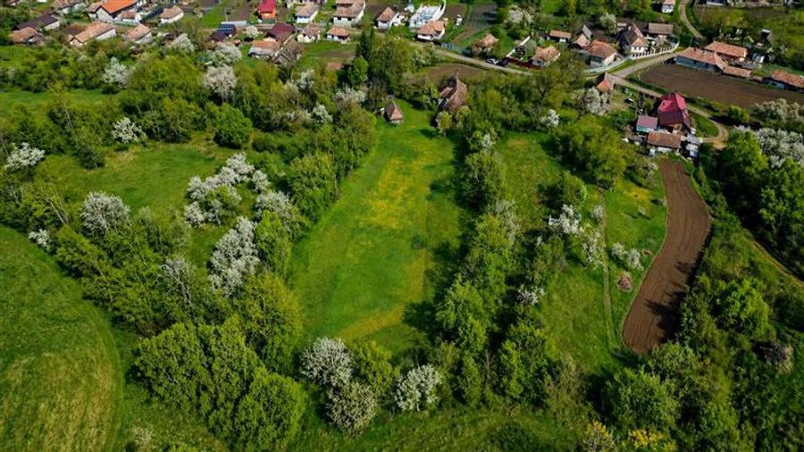 Teren intravilan de 3400 mp, în Suveica