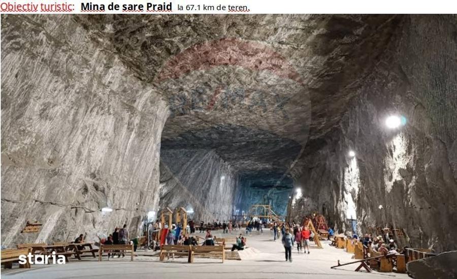 Teren de 40000 mp, în Suseni