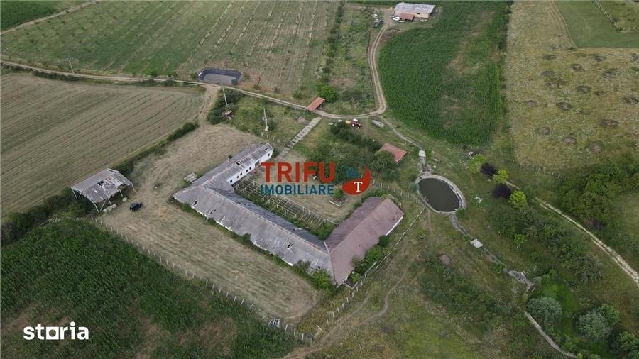 Spațiu comercial, de 1,190 mp, în Alba