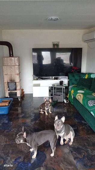 Casă cu 3 camere în Curmătura