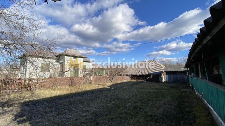 Casă cu 3 camere cu Teren 4145 Mp în Vedea