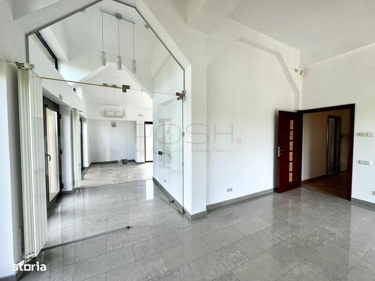 Vila Baneasa, teren 380mp, pretabila birouri, restaurant, hub, curte - 3
