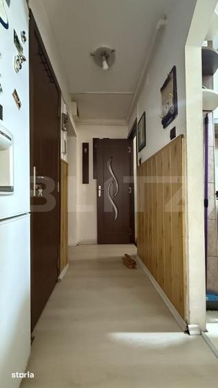 Apartament cu 2 camere semidecomandat în Mureșeni