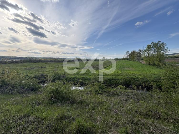 Teren agricol extravilan de 20000 mp, în Budeasa Mare