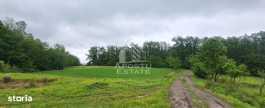 Teren de 8600 mp, în Buteni