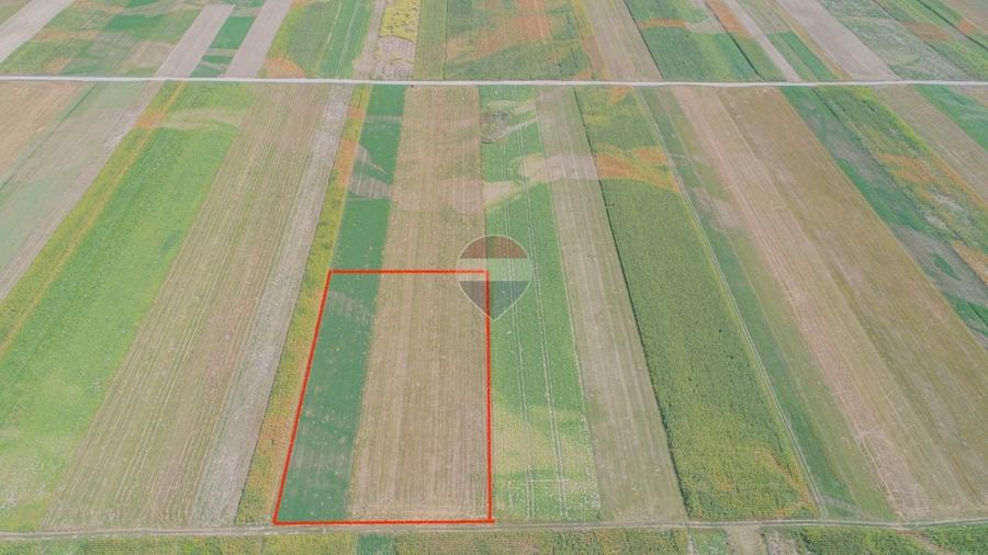 Teren agricol extravilan de 14750 mp, în Prejmer