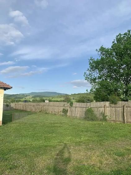 Casă cu Teren 4000 Mp în Dămieni