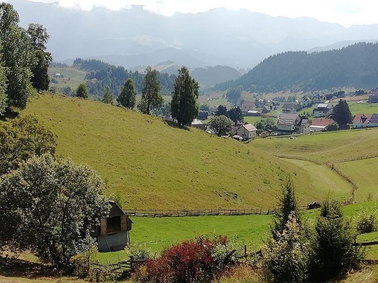 Teren agricol extravilan de 17537 mp, în Fundata