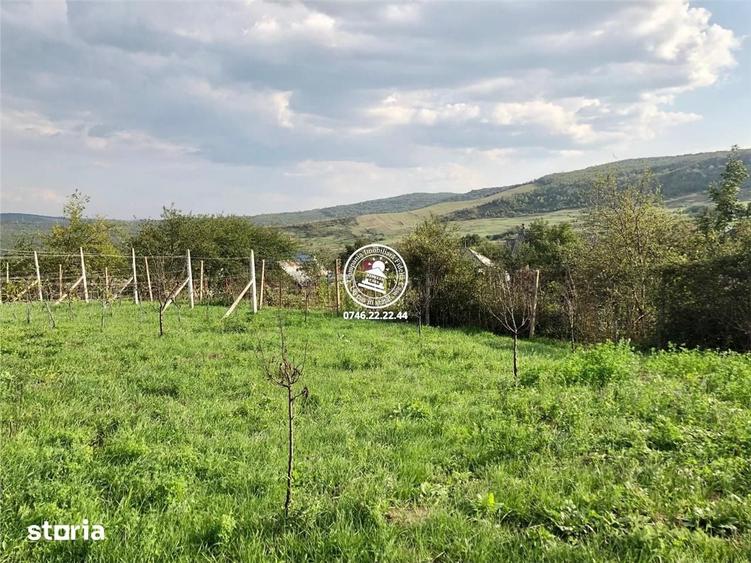 Teren de 6200 mp, în Mogoșești