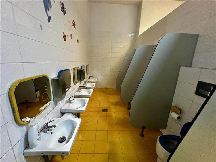Spatiu comercial  de inchiriat  Pacurari, - 16