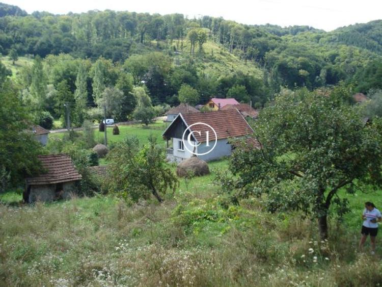 Teren agricol intravilan de 8644 mp, în Valea Bradului