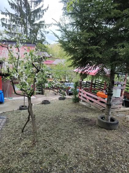 Casă cu Teren 500 Mp în Stâlpeni