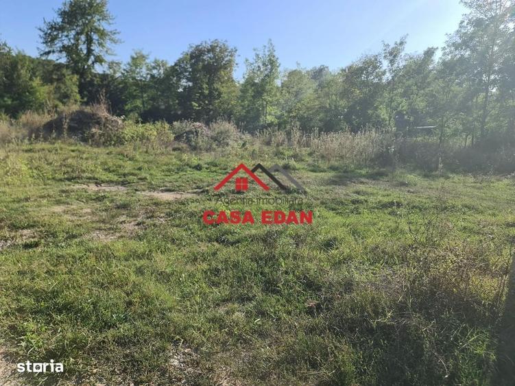 Teren intravilan in Cornu (Ph)--1490 mp--29e - 19