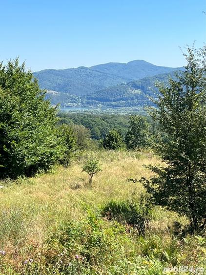 Teren de 10000 mp, în Alexandru cel Bun