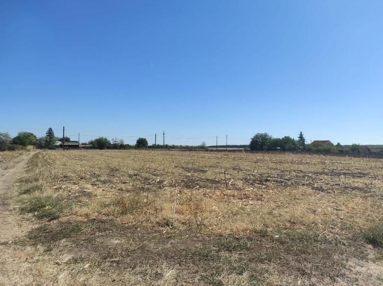 Teren Construcții intravilan de 3556 mp, în Vâlcelele de Sus