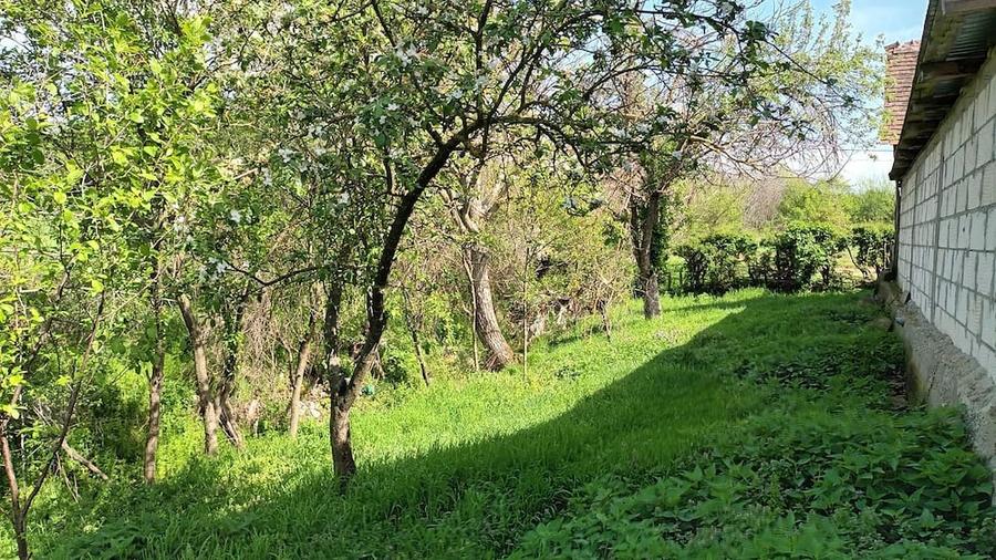 Casă cu Teren 200 Mp în Central