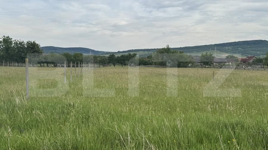 Teren Construcții intravilan de 1100 mp, în Livezile