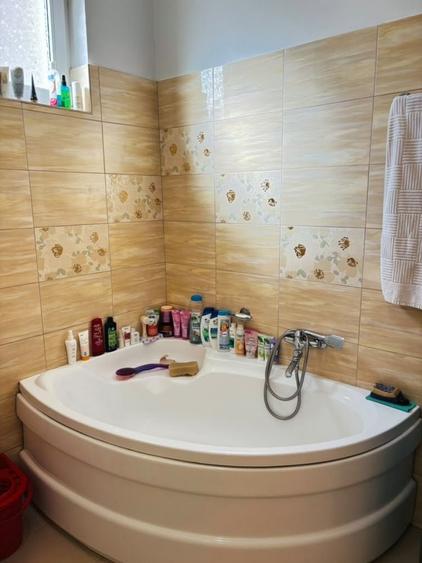 Apartament cu 3 camere nedecomandat în Turnișor