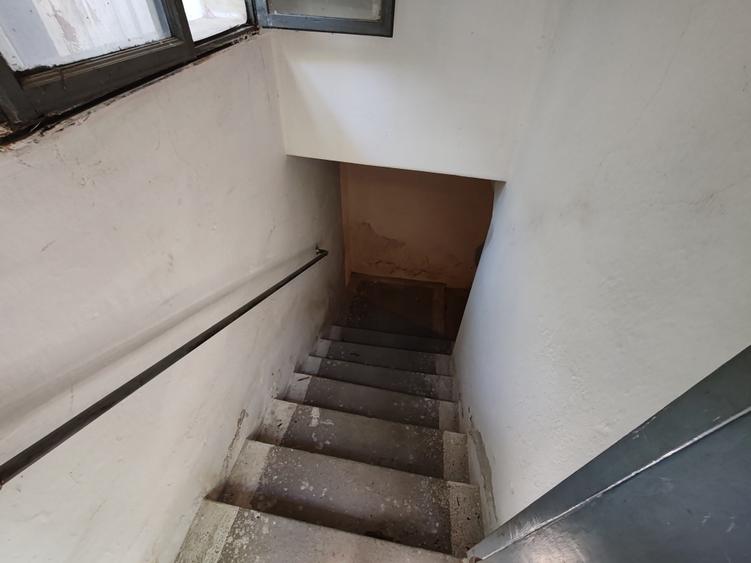 Casa 4 camere libera la vanzare TARLUNGENI - 32