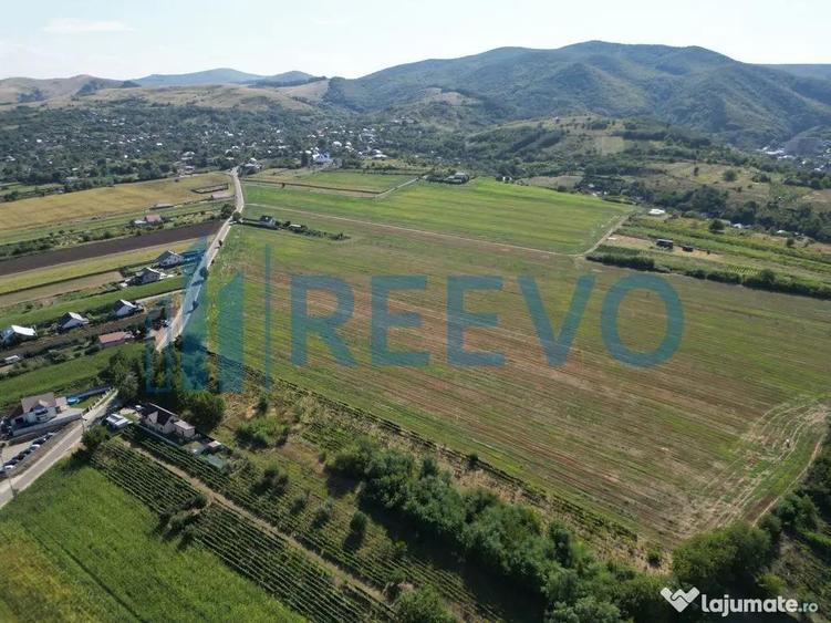 Teren de vanzare, Com. Sarata, Jud. Bacau - 6
