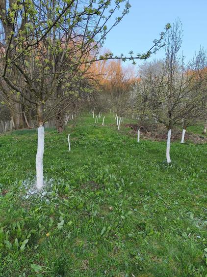 Teren de 3350 mp, în Sâmbotin