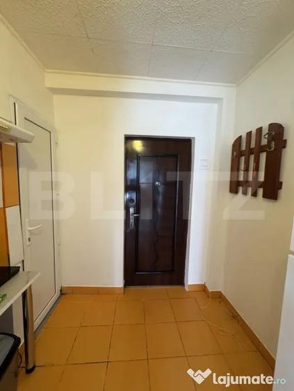 Camera de camin, 22 mp, zona George Enescu - 2