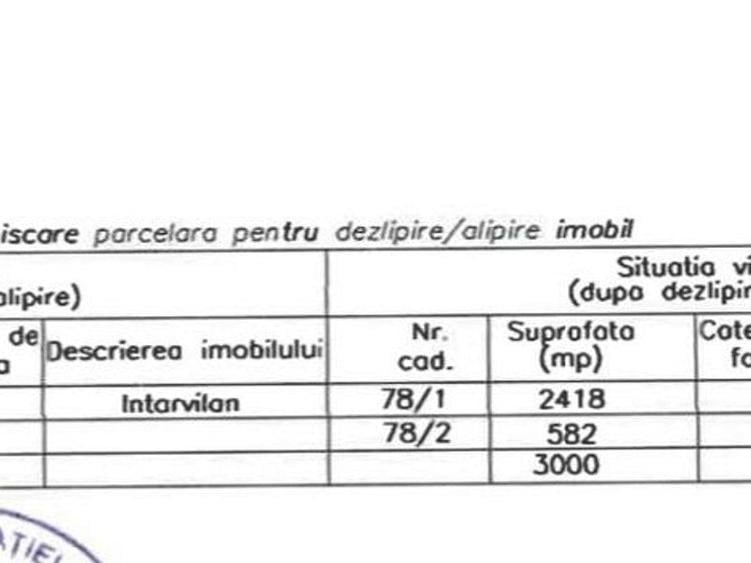 Teren Construcții intravilan de 3000 mp, în Tâncăbești
