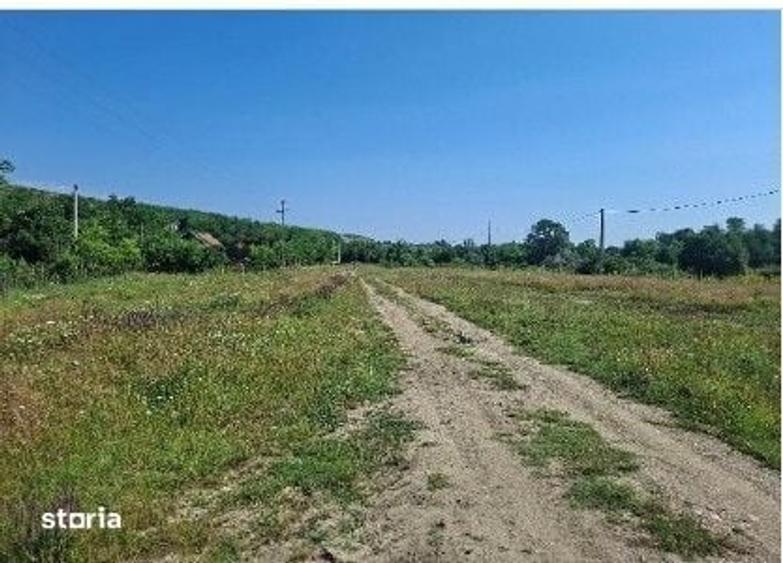 Casă cu 3 camere cu Teren 1428 Mp în Scorțoasa