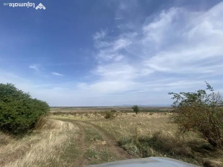 Livada 5400 mp si pasune 8700 mp - 2