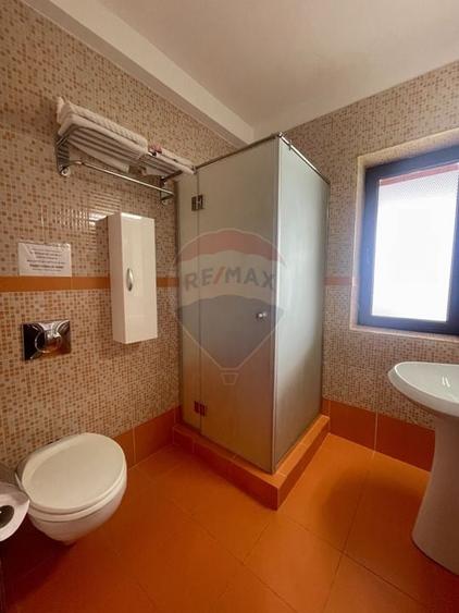 Hotel / Pensiune de vanzare în Ranca - 12