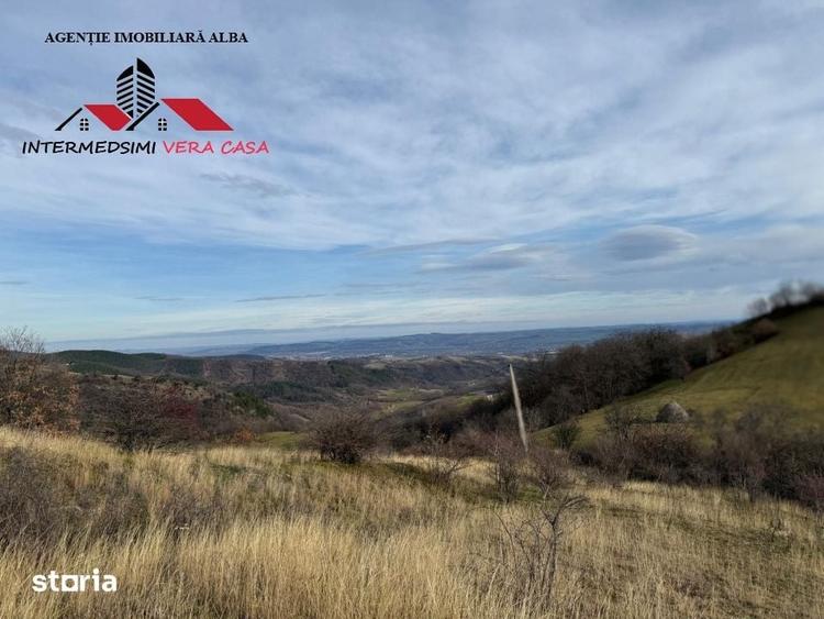Teren de 8010 mp, în Vințu de Jos