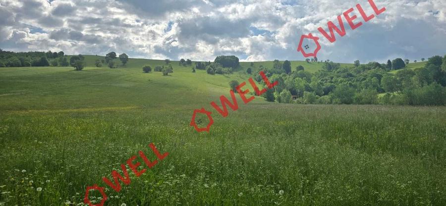 Teren extravilan de 4721 mp, în Sărămaș