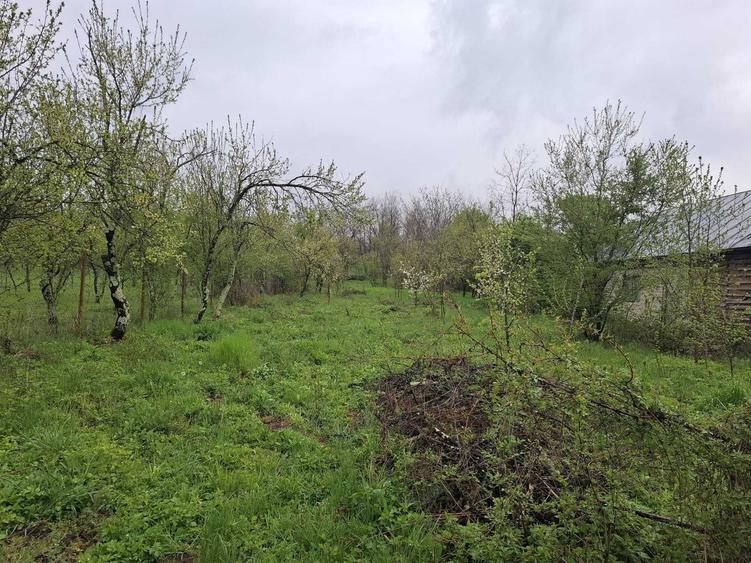 Teren de 3065 mp, în Sărățel