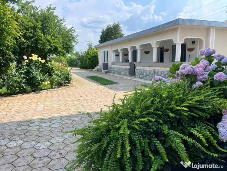 Casa visurilor cu 4000 mp livada roditoare si gradina Dar... - 18