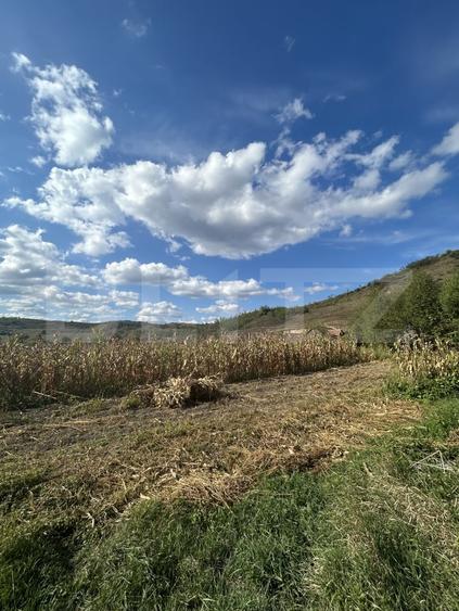 Teren intravilan de 9660 mp, în Bonț