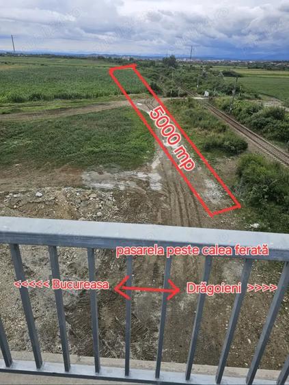 Teren de 5000 mp, în Centura