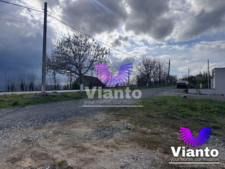 Teren Construcții intravilan de 650 mp, în Daia