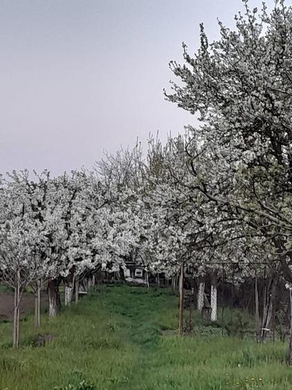 Casă cu 3 camere în Vințu de Jos
