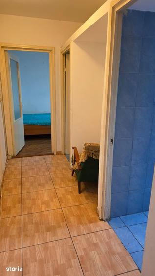 Narcisa-str Bucegi etajul 2-liber - 7