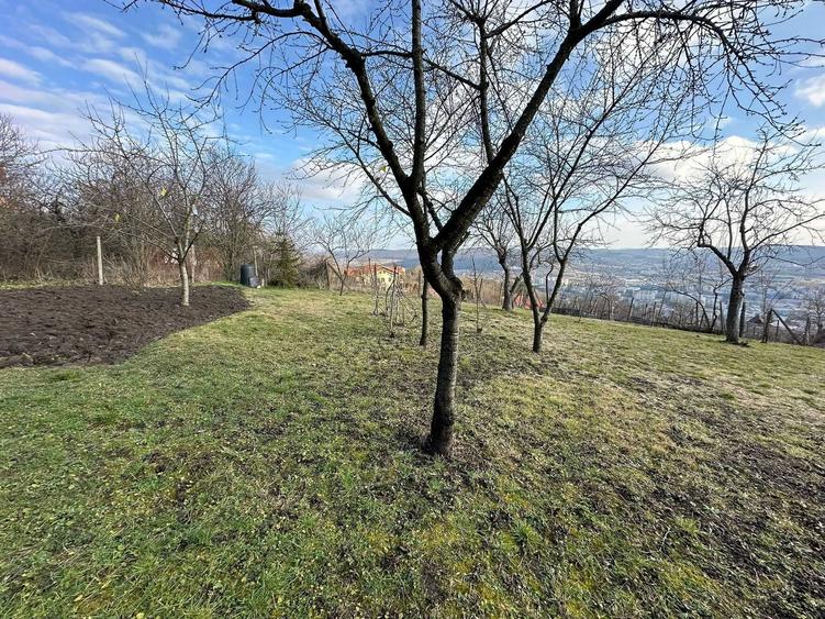Casă cu 2 camere cu Teren 1150 Mp în Central