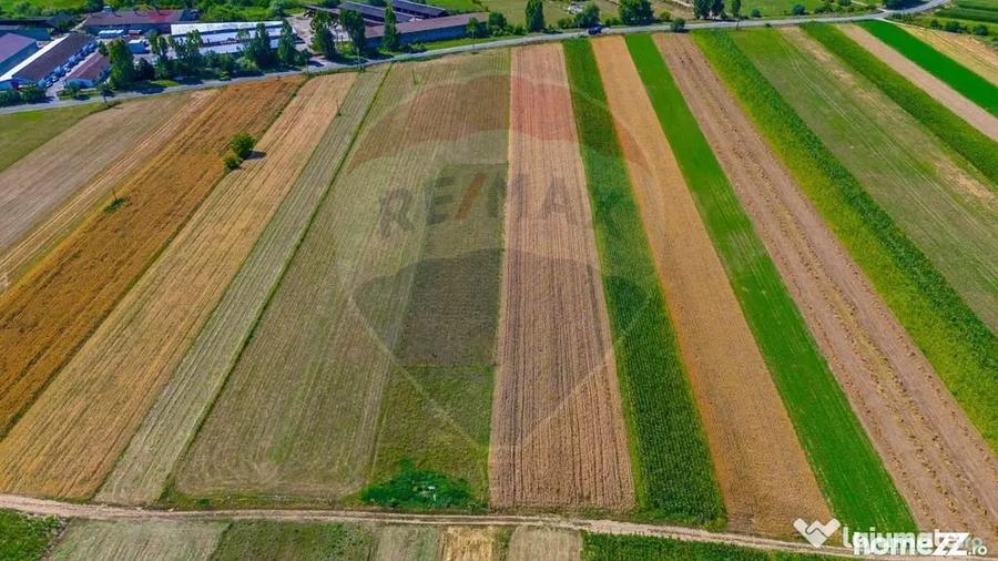 Teren de 7000 mp, în Teliu