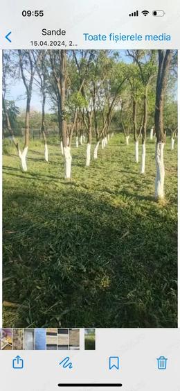Casă cu 3 camere în Mihăești
