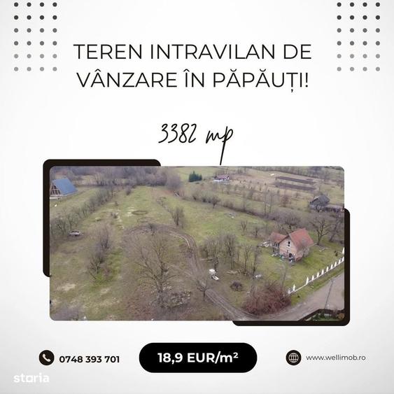 Spațiu comercial, în Păpăuți