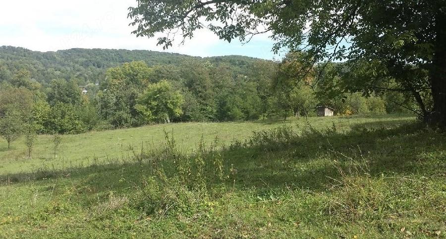 Teren de 14340 mp, în Provița de Jos