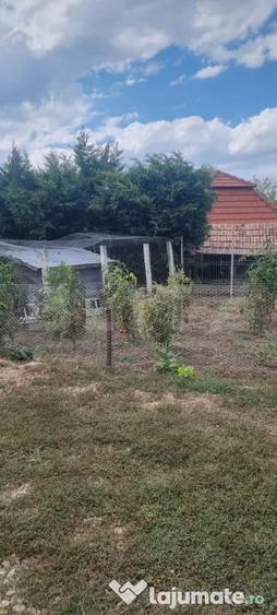 Casă cu 2 camere cu Teren 700 Mp în Central