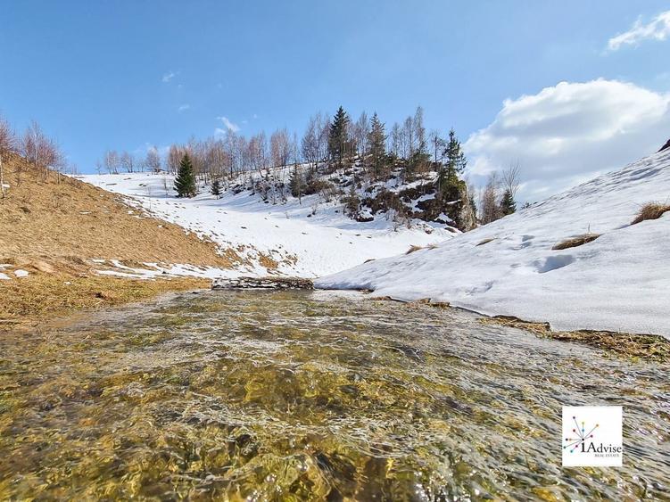 Teren Construcții extravilan de 150000 mp, în Șirnea