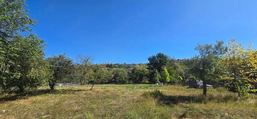 Casă cu Teren 2300 Mp în Buzad